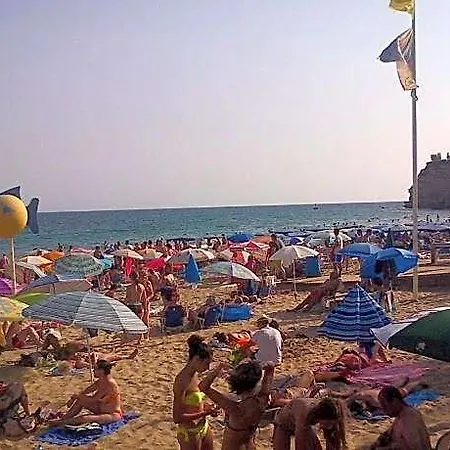 Iris * Benidorm