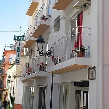 Iris * Benidorm